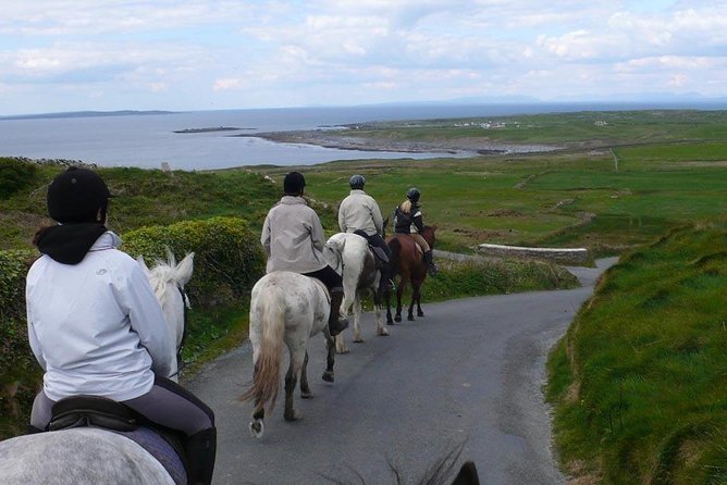 Horse riding - Burren Trail. Lisdoonvarna, Co Clare. Guided. 3 hours. - Price and what the day is worth