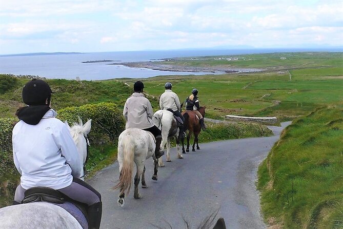 Horse riding - Dirt Trek Trail. Lisdoonvarna, Clare. Guided. 1 hour. - Starting at Mountain View Horse Riding Centre