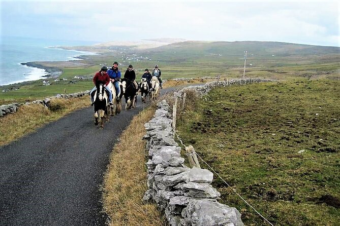 Horse riding - Dirt Trek Trail. Lisdoonvarna, Clare. Guided. 1 hour. - Through Clare woodlands and famine ruins