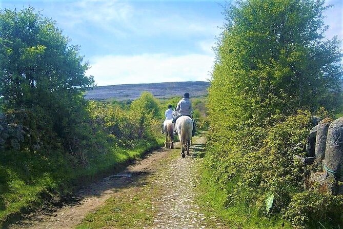 Horse riding - Dirt Trek Trail. Lisdoonvarna, Clare. Guided. 1 hour. - The views toward Moher, the islands, and Connemara