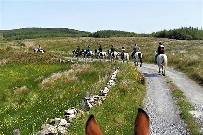 Horse riding - Dirt Trek Trail. Lisdoonvarna, Clare. Guided. 1 hour. - Why one hour may or may not be enough