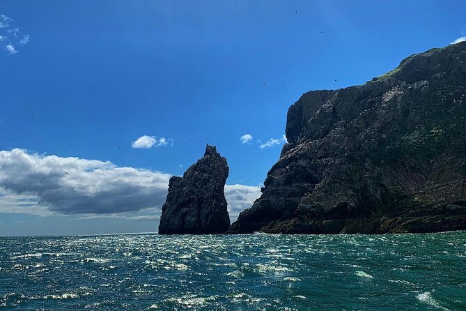 Howth Cliffs and Ireland's Eye Ferry Boat Tour - Commentary, captain, and the human touch