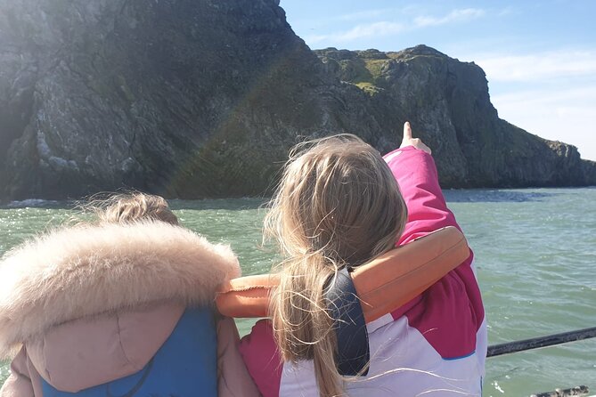 Howth Cliffs and Ireland's Eye Ferry Boat Tour - What the boat ride feels like