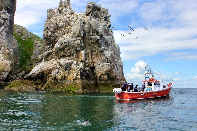 Howth Coastal Boat Tour (Ireland's Eye Ferries 50 mins trip) - Key points before you book