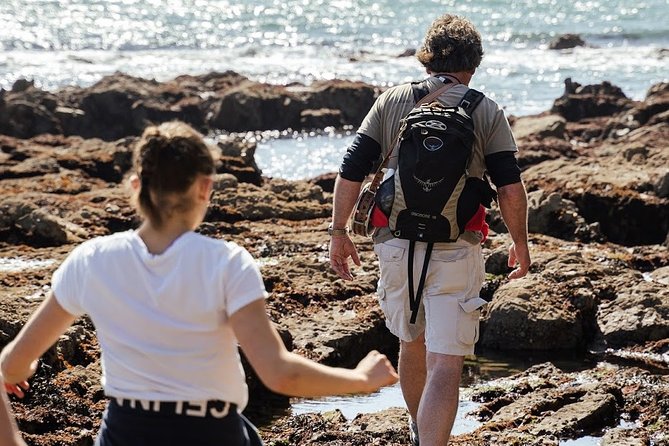 Howth Safari Hiking Tour - Reaching Howth Summit and choosing how to finish