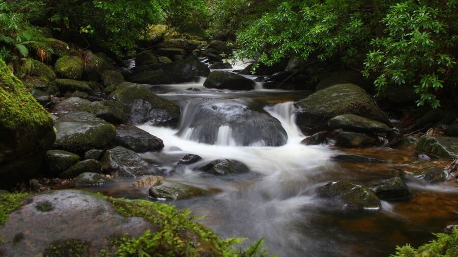 Ireland: 2 Day Wild Atlantic Way Tour - The Long Return Through Adare