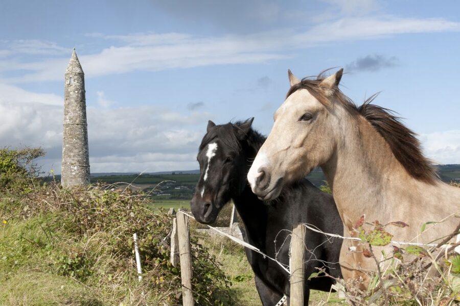 Ireland: Blarney Castle, Kilkenny & Irish Whiskey 3-Day Tour - What the 16-seat minicoach changes