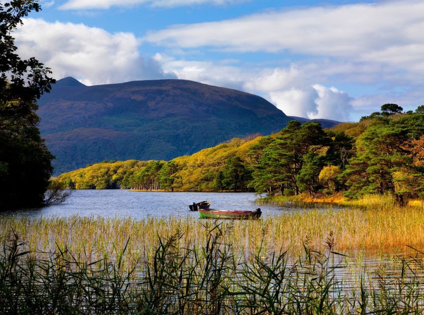 Kerry: Full-Day Tour from Dublin - Killorglin adds an unusual piece of local tradition