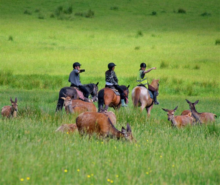 Kerry: Guided Horse Riding Tour in Killarney National Park - Riding Into Knockreer Estate From Killarney