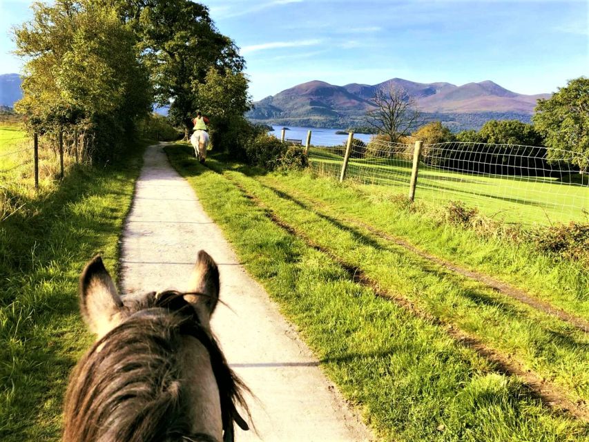 Kerry: Guided Horse Riding Tour in Killarney National Park - Choosing a Horse and Getting Comfortable in the Saddle