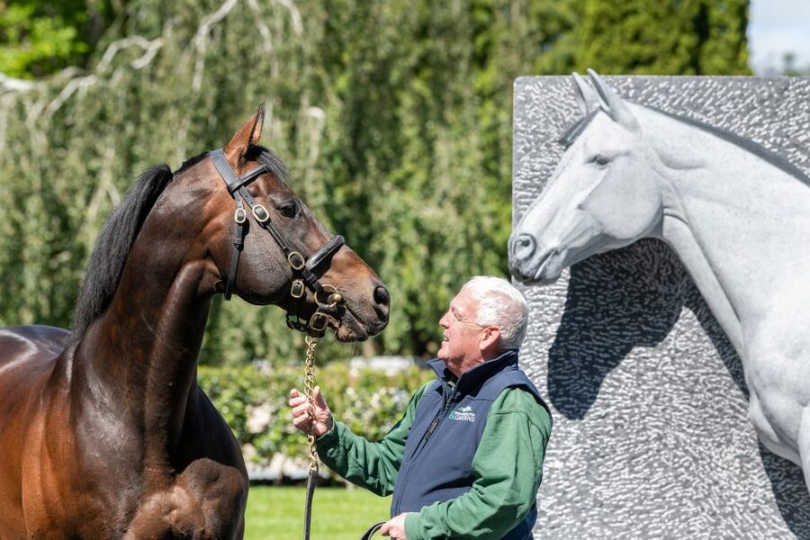 Kildare: Irish National Stud & Gardens - Give the horses space and attention