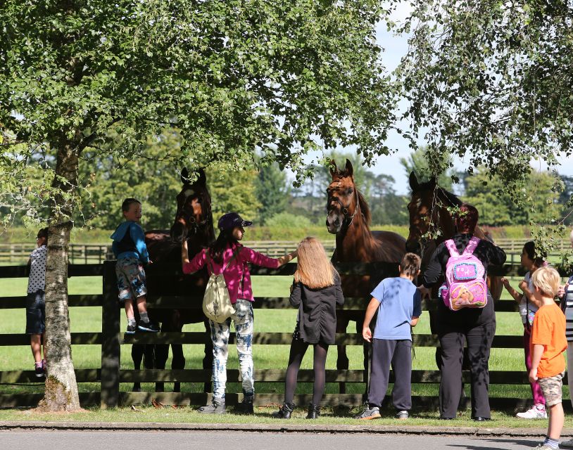 Kildare: Irish National Stud & Gardens - Walk the Japanese Gardens