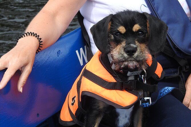 Kilkenny Boat Trip - What the $18.15 price really buys you