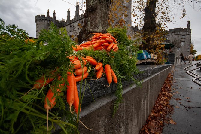 Kilkenny city tour in German. - St. Mary’s Cathedral and a different view of the city