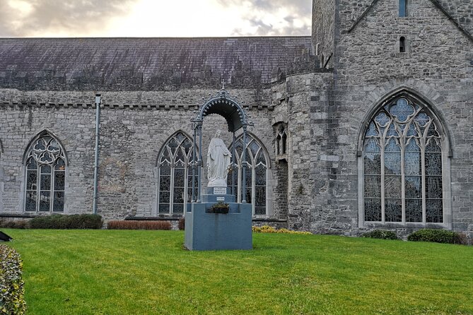 Kilkenny from Medieval to Modern City. Private Walking Tour - Crystal, Tudor facades, and Kilkenny’s difficult characters