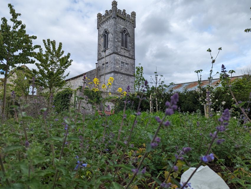 Kilkenny: Historical Highlights Walking Tour - Crossing into Irishtown and the city’s earliest story