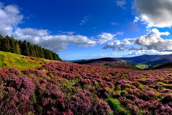 Kilkenny, Wicklow Mountains & Glendalough Day Tour from Dublin - Crossing the Wicklow Gap