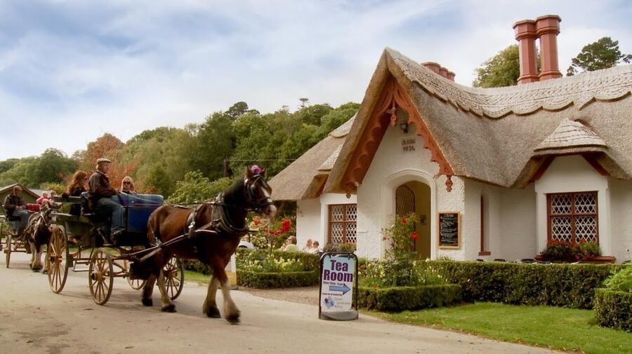 Killarney: 1-Hour Jaunting Car Horse and Carriage Tour - Key points to know before you book
