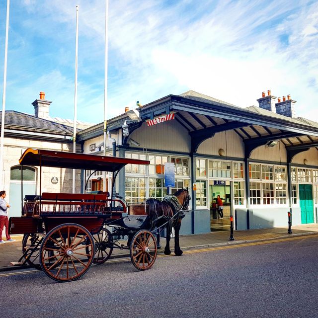 Killarney: 1-Hour Jaunting Car Horse and Carriage Tour - The horse, the carriage, and comfort on the route