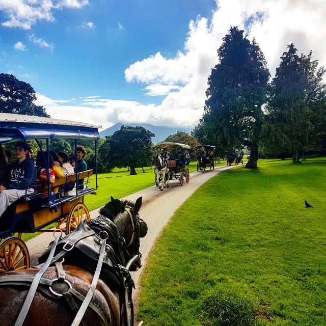 Killarney: 1-Hour Jaunting Car Horse and Carriage Tour - My verdict on the Killarney jaunting car tour