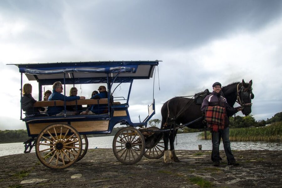 Killarney: 1-Hour Jaunting Car Horse and Carriage Tour - From the Great Southern Hotel to St. Mary’s Cathedral