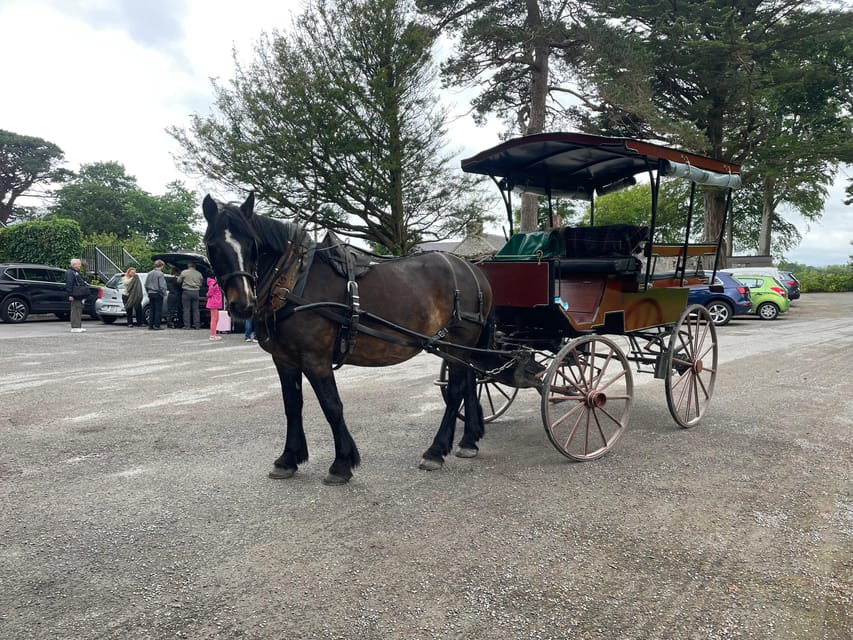 Killarney Carriage Tours National Park and Lakes - Why a Killarney jaunting car makes sense