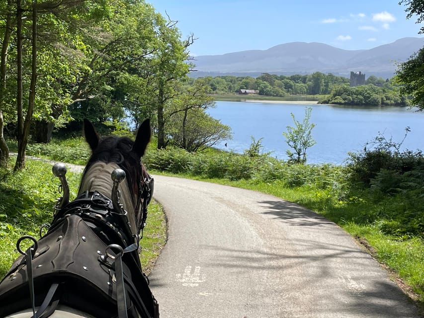 Killarney Carriage Tours National Park and Lakes - Starting at 228 Beech Road