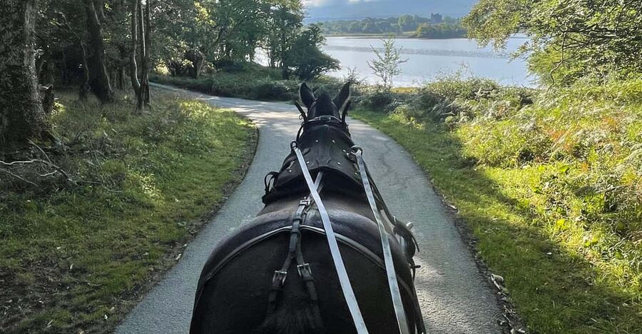 Killarney Carriage Tours National Park and Lakes - Heading toward Ross Castle