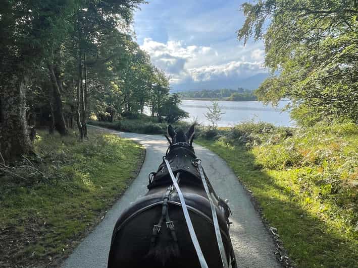 Killarney Carriage Tours National Park and Lakes - Is $40 a good price?