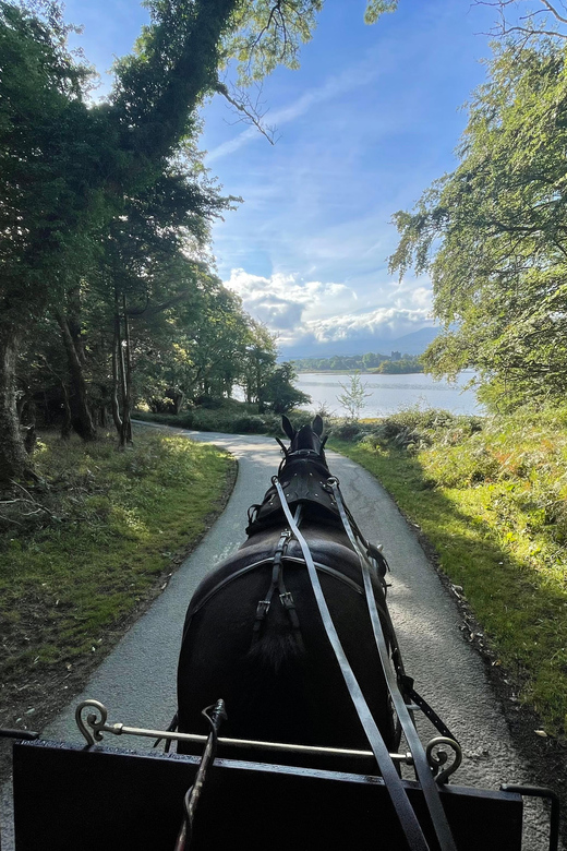 Killarney Carriage Tours National Park and Lakes - Who should book this ride?