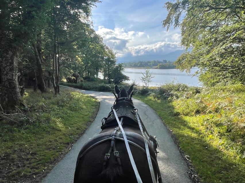 Killarney Carriage Tours National Park and Lakes - Passing St Mary’s Cathedral