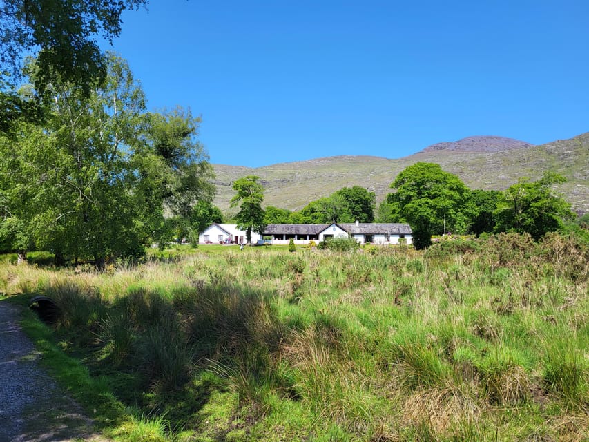 Killarney: Gap of Dunloe Day Tour - Ross Castle and the final park sights