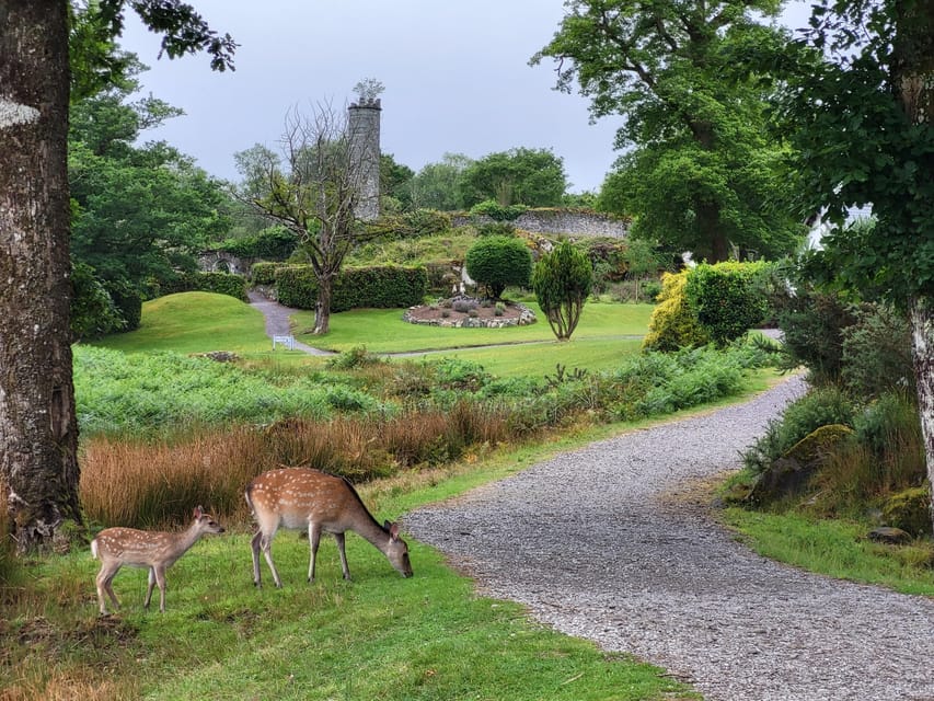 Killarney: Gap of Dunloe Day Tour - Lord Brandon’s Cottage and a practical pause