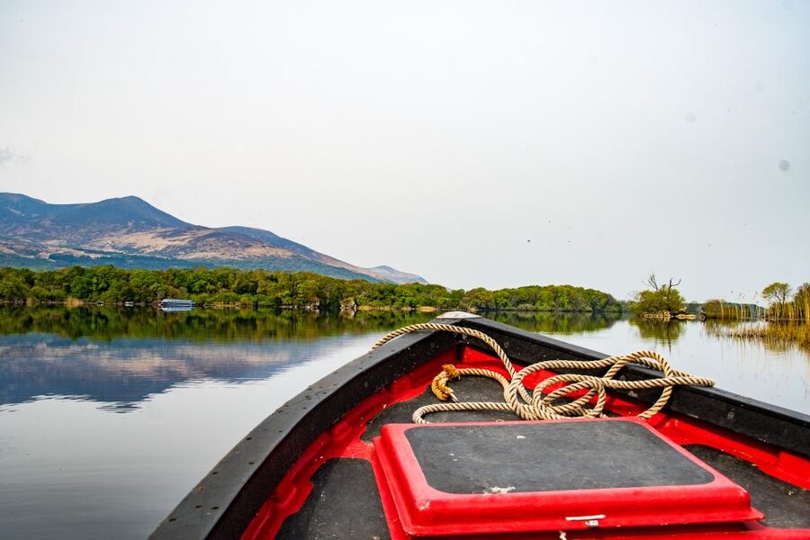 Killarney: Guided Boat Tour to Innisfallen Island - Key points at a glance