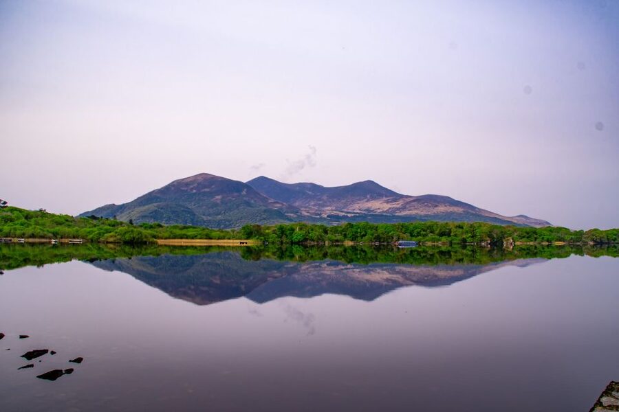 Killarney: Guided Boat Tour to Innisfallen Island - Thirty to 45 minutes on the island