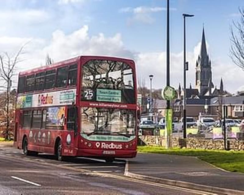 Killarney: Hop-On Hop-Off Bus to Killarney National Park - Why this bus works well for Killarney National Park