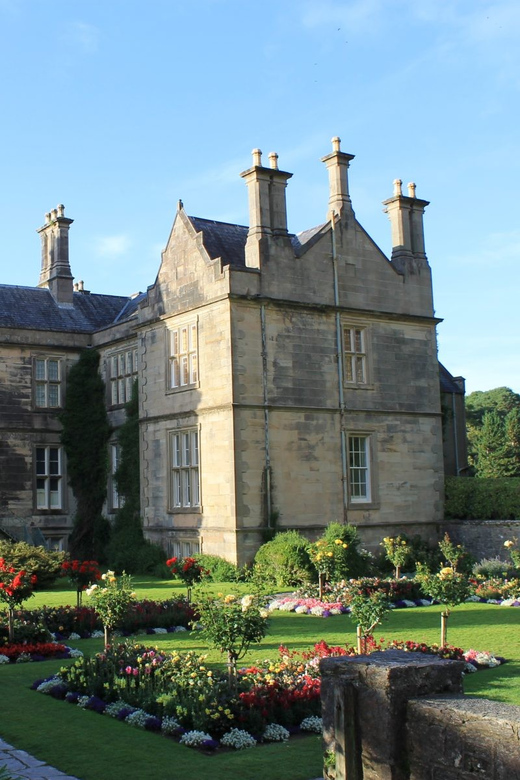 Killarney: Hop-On Hop-Off Bus to Killarney National Park - What to bring and how to plan the day