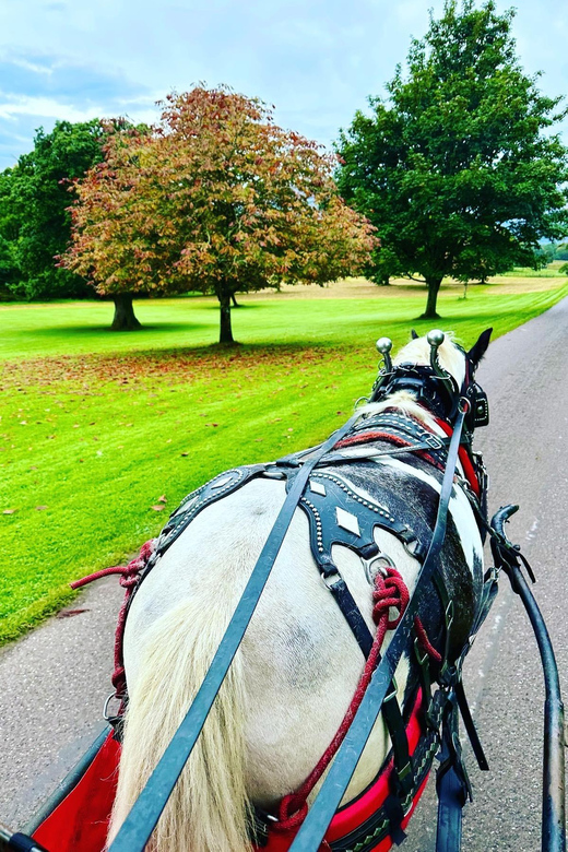 Killarney Jaunting Car Tour - Should you book the Killarney Jaunting Car Tour?