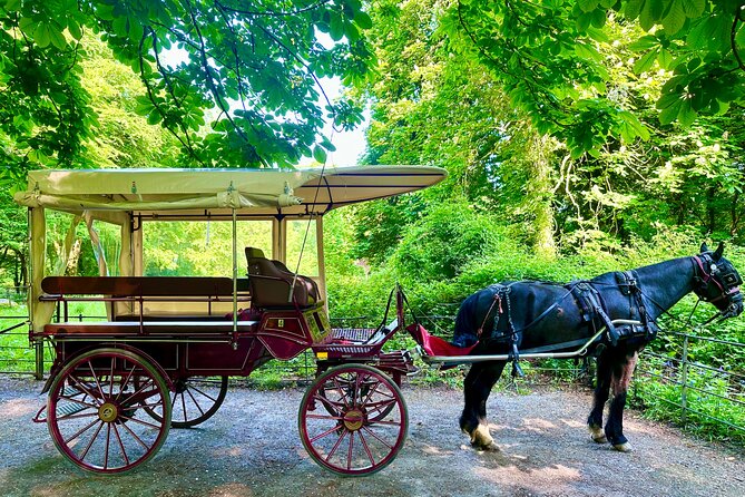 Killarney Jaunting Car Tour - A one-hour route through Killarney’s best-known scenery