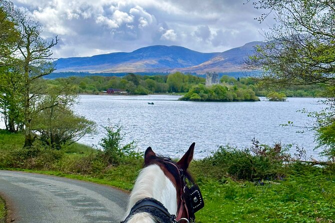 Killarney Jaunting Car Tour - Covered carriages make the weather less of a gamble