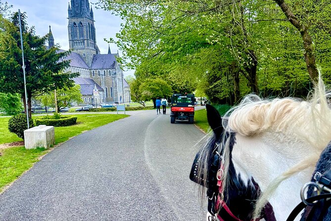 Killarney Jaunting Car Tour - Local stories give the short ride more meaning