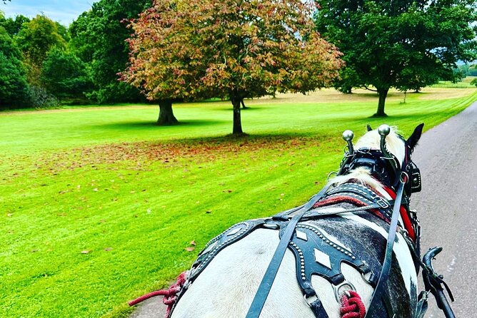 Killarney Jaunting Car Tour - Who will enjoy this carriage ride most?