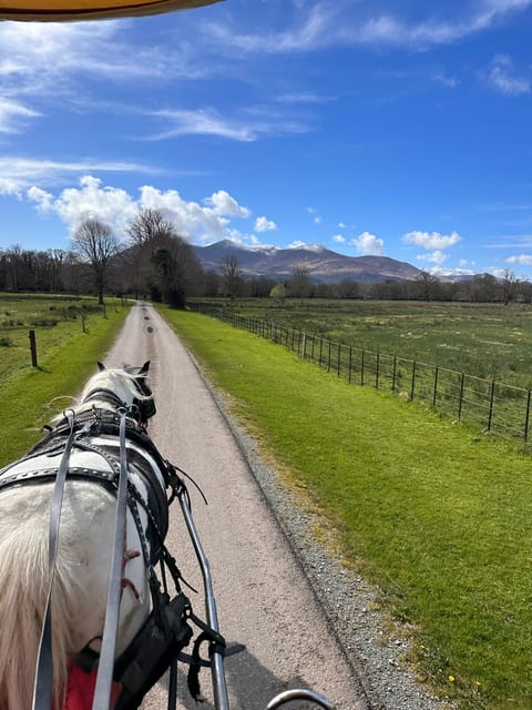 Killarney Jaunting Car Tour - Booking and practical details