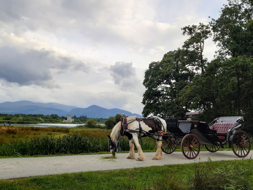 Killarney: Killarney National Park Private Tour - A gentle ride through Killarney National Park
