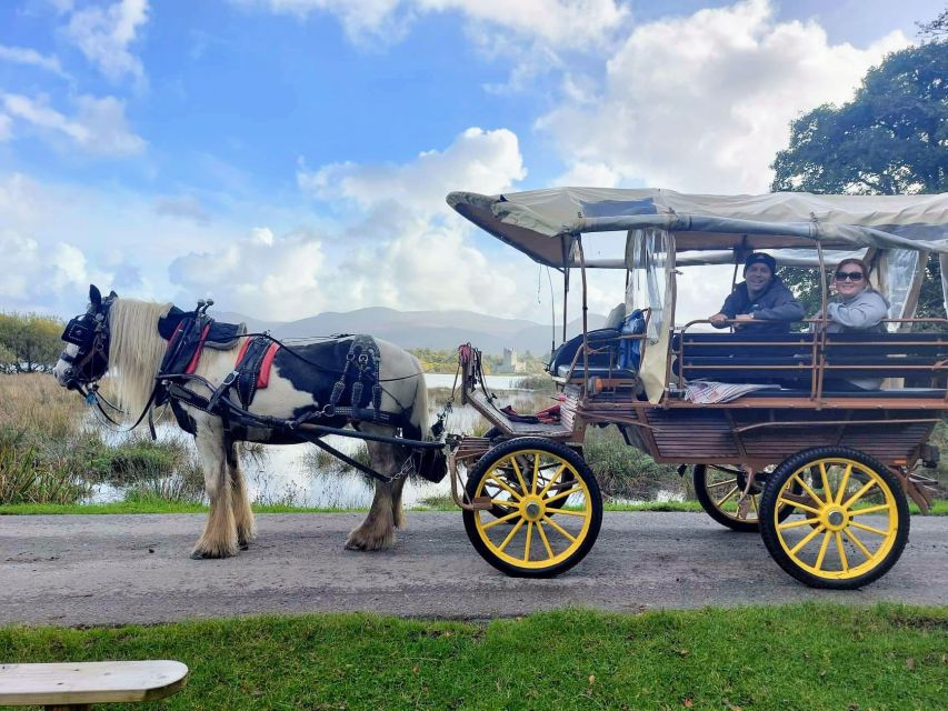 Killarney: Killarney National Park Private Tour - Who will enjoy this Killarney ride most