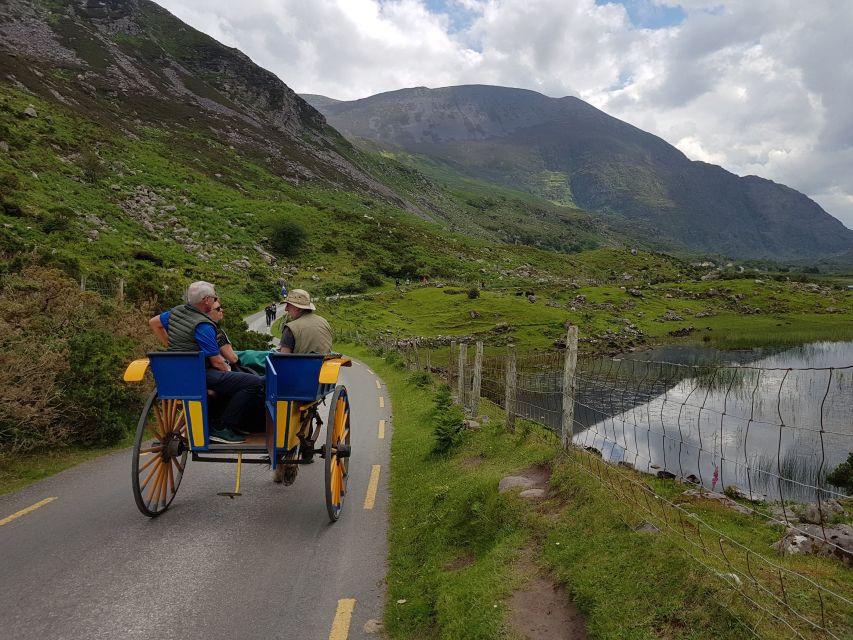 Killarney: Lakes of Killarney Boat Tour with Transfer - Arriving at Ross Castle