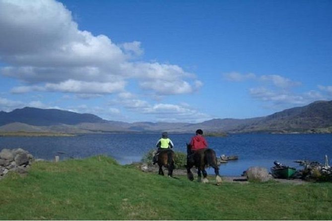 Killarney National Park Horseback Ride. Co Kerry. Guided. 1 hour. - What the Guides Add