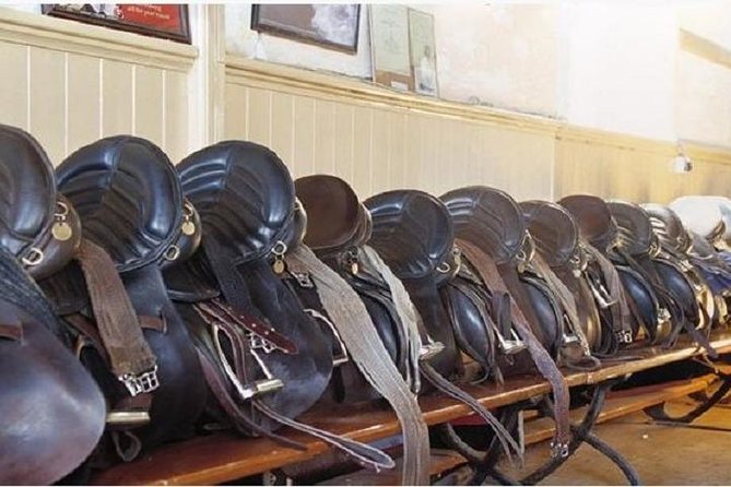 Killarney National Park Horseback Ride. Co Kerry. Guided. 1 hour. - What to Wear and Bring