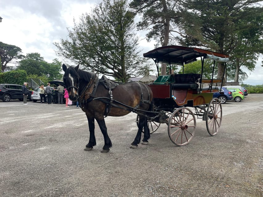 Killarney National Park Jaunting Car Tour - Key points to know before booking