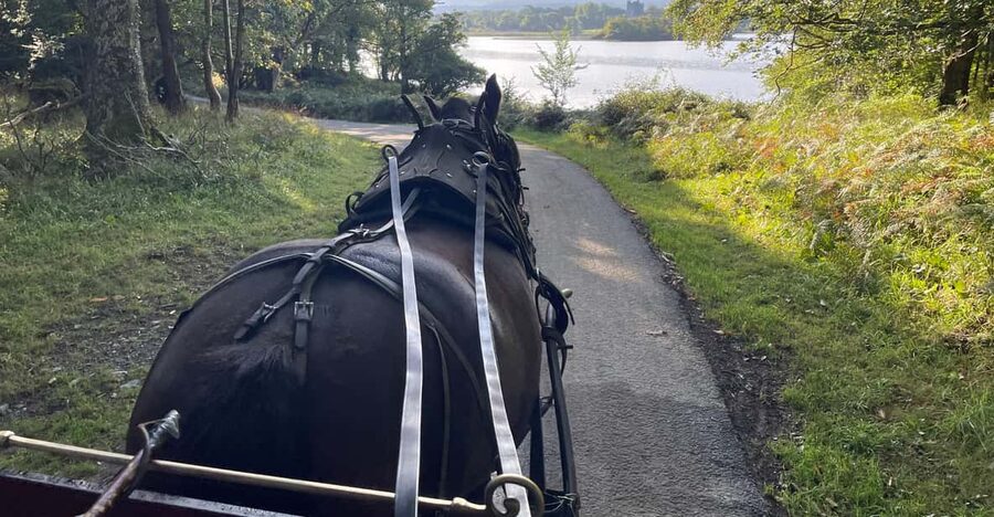 Killarney National Park Jaunting Car Tour - Starting at Beech Road and St Mary’s Cathedral